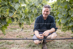 Winemaker Alex McKay crouches down amongst ripening grapes in the vineyard.
